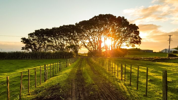 Sunsets in Strange Lands: Living Fully Through Global Adventures